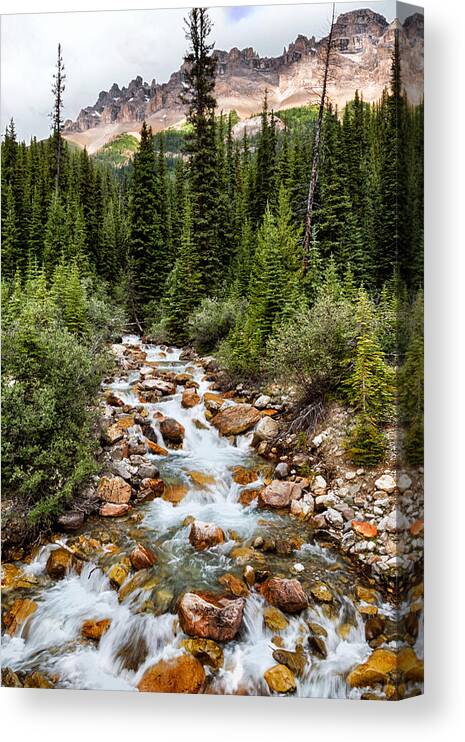 Jasper National Park Canvas Print featuring the photograph Mountain Stream by Kathleen Bishop