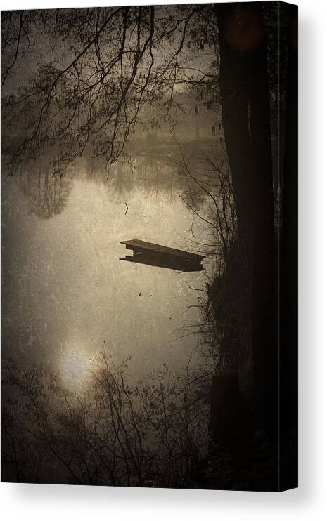 Abstract Canvas Print featuring the photograph Mysterious Morning by Maria Heyens