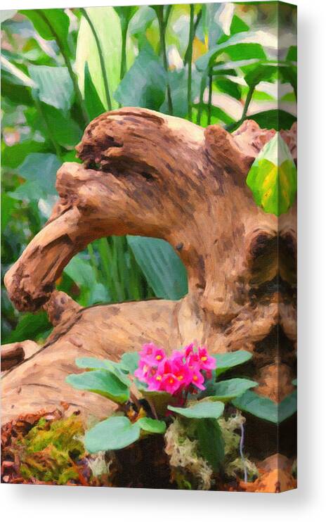 Country Canvas Print featuring the photograph Nature Made by M Three Photos
