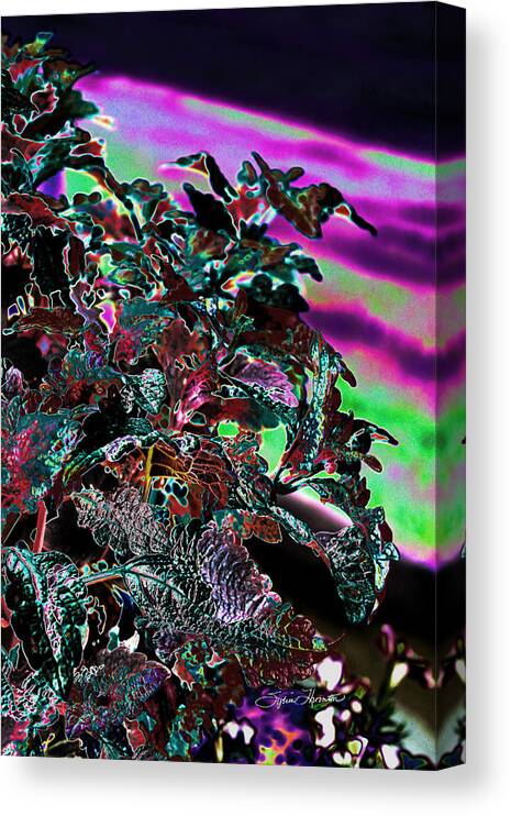 Abstract Art Canvas Print featuring the photograph Neon Coleus by Sylvia Thornton