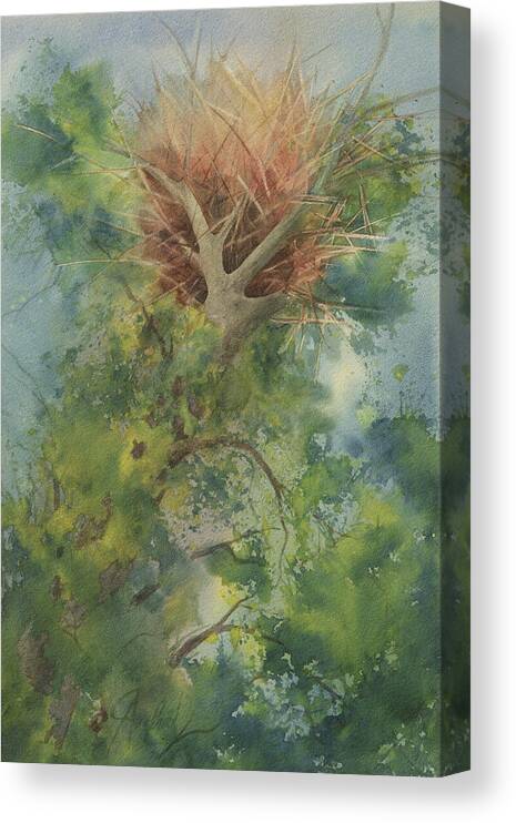 Wisconsin Artist Canvas Print featuring the painting Nest At The Catherdral Pines by Johanna Axelrod