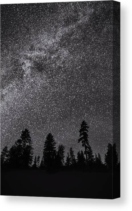 Nancy Strahinic Canvas Print featuring the photograph Night Serenity by Nancy Strahinic