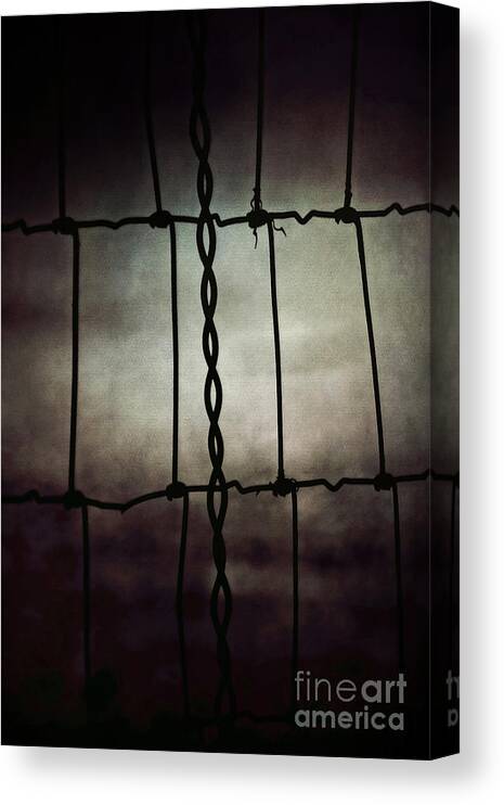  Canvas Print featuring the photograph Nowhere to Run by Trish Mistric