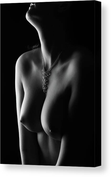 Nude Canvas Print featuring the photograph Nude Curves by Jan Blasko