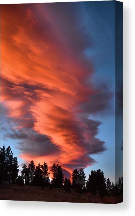 Sunrise Canvas Print featuring the photograph October Dawn by Jacqui Binford-Bell