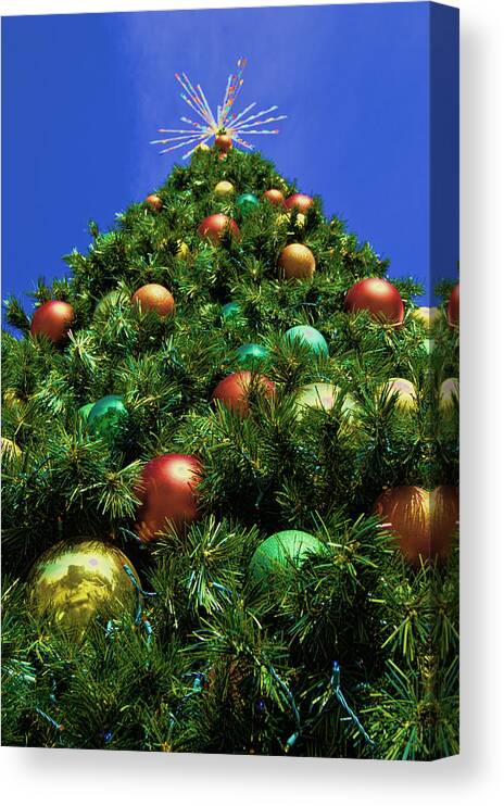 Christmas Canvas Print featuring the photograph Oh Christmas Tree by Kathy Churchman