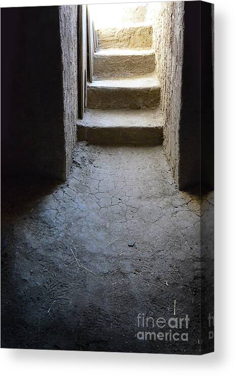 Cellar Canvas Print featuring the photograph Old Dirt Cellar Steps by Jill Battaglia