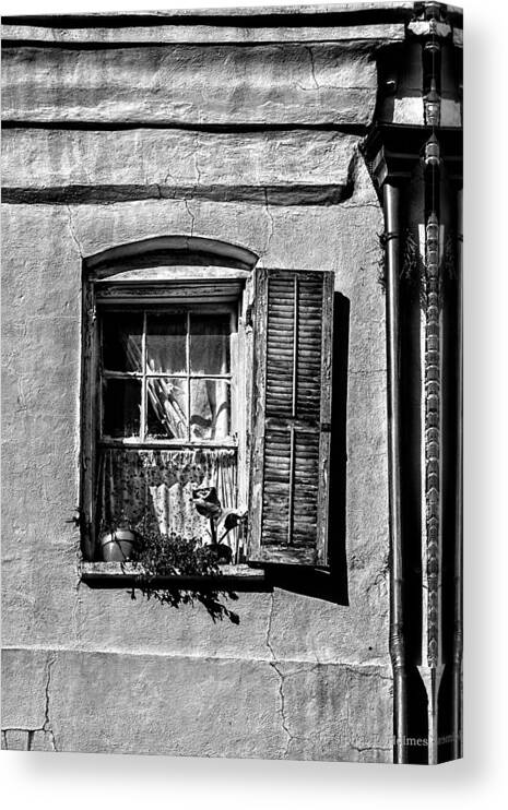 Shutter Canvas Print featuring the photograph Old One Shutter - BW by Christopher Holmes