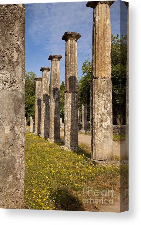 Ancient Canvas Print featuring the photograph Olympia Ruins by Brian Jannsen