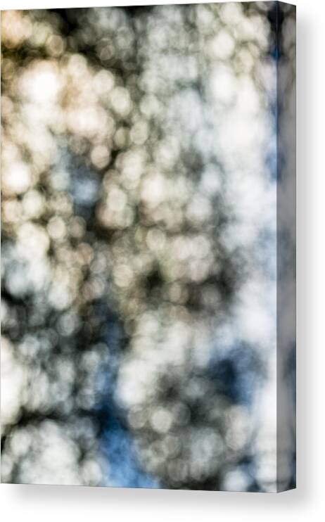 Expression Canvas Print featuring the photograph Open Mind by Steven Poulton