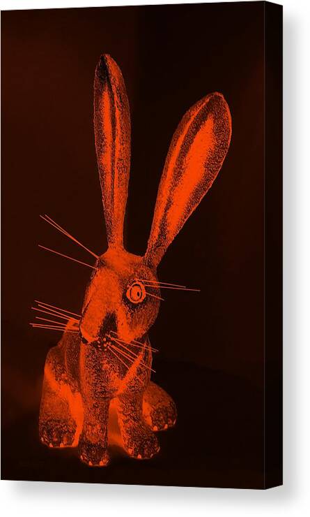 Rabbit Canvas Print featuring the photograph Orange New Mexico Rabbit by Rob Hans