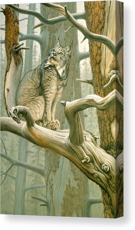 Wildlife Canvas Print featuring the painting Out of Reach - Lynx by Paul Krapf