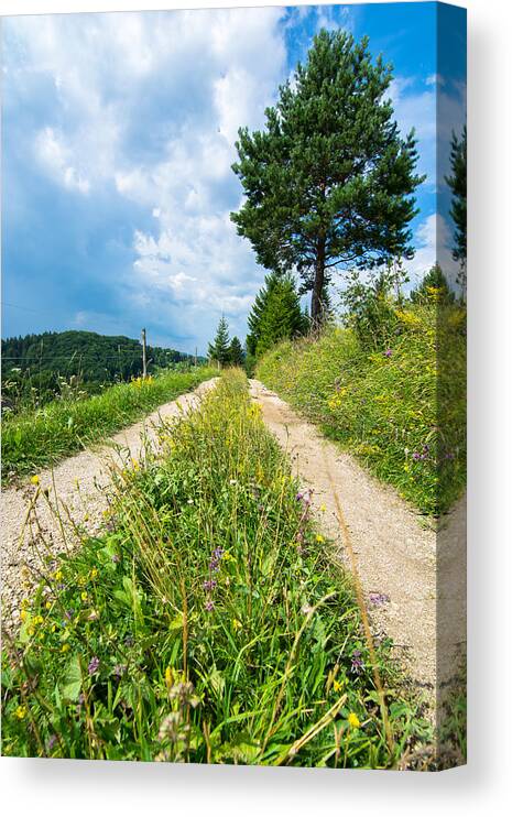 Road Canvas Print featuring the photograph Overgrown Rural Path Up a Hill by Andreas Berthold