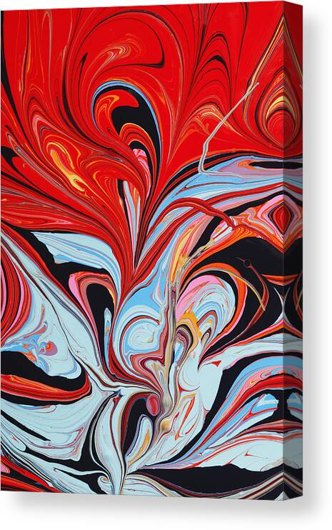 Confusion Canvas Print featuring the photograph Paint In Abstract by Paul Taylor