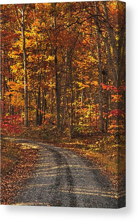 Autumn Canvas Print featuring the photograph Painted Autumn Country Roads by Lara Ellis