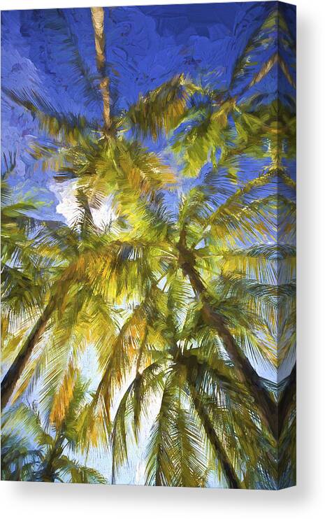 Abstract Canvas Print featuring the painting Palm Trees of Aruba by David Letts