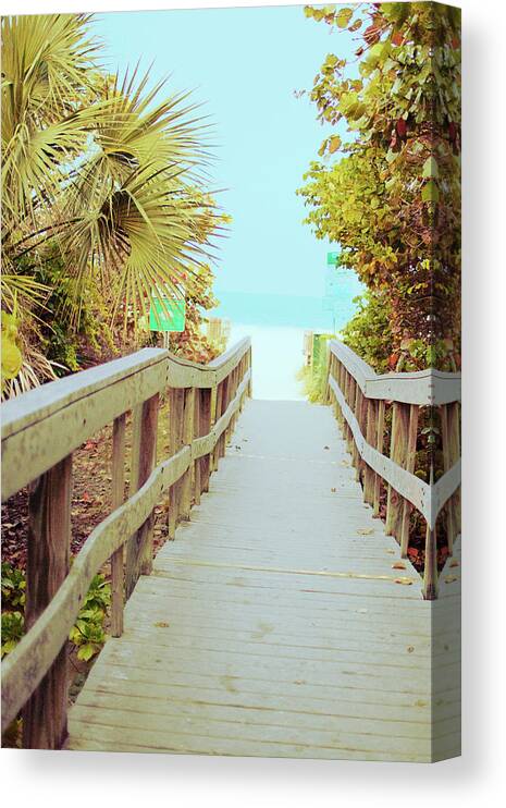 Palm Canvas Print featuring the photograph Palm Walkway II by Susan Bryant