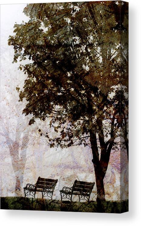 Two Canvas Print featuring the photograph Park Benches by Carol Leigh
