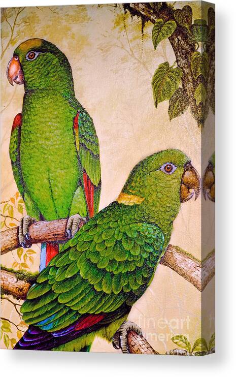 Parrot Canvas Print featuring the photograph Parrot Popularity by Gary Keesler