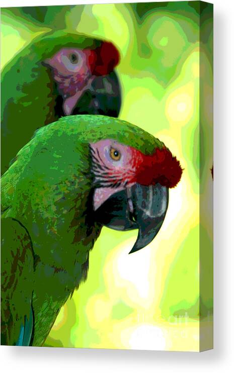Parrots Canvas Print featuring the photograph Parrots Posing by Jack Ader