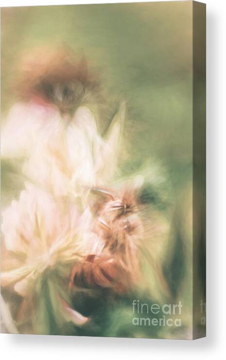 Pastel Canvas Print featuring the photograph Pastel painting of a honeybee insect by Jorgo Photography