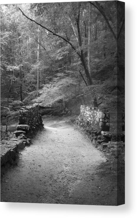 Kelly Hazel Canvas Print featuring the photograph Path in Black and White by Kelly Hazel