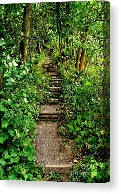 Path Canvas Print featuring the photograph Path Into The Forest by Scott Lyons