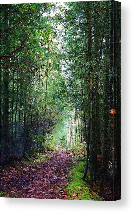 Trees Canvas Print featuring the photograph Path of Adventure by Bruce Bley