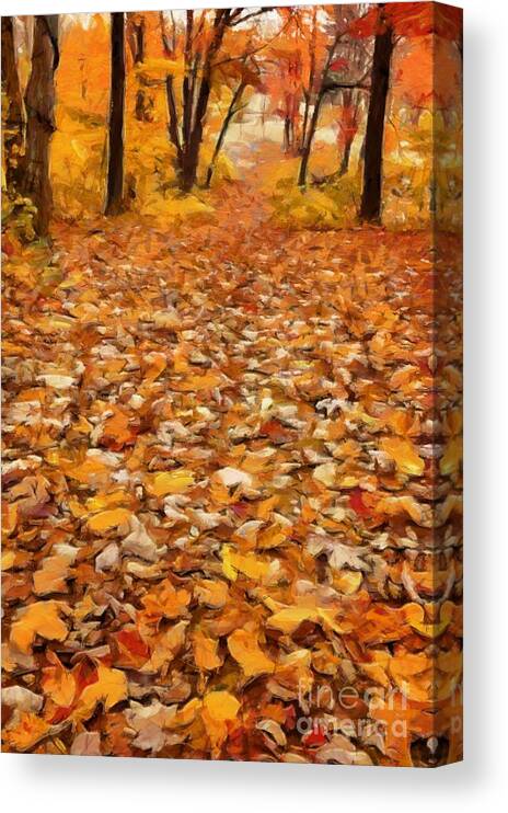 Path Canvas Print featuring the photograph Path of Fallen Leaves by Edward Fielding