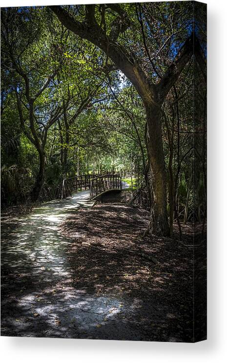 Oak Trees Canvas Print featuring the photograph Pathway to the Bridge by Marvin Spates