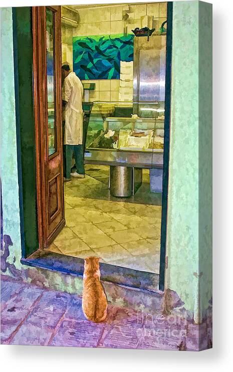 Italy Canvas Print featuring the photograph Patience by Timothy Hacker