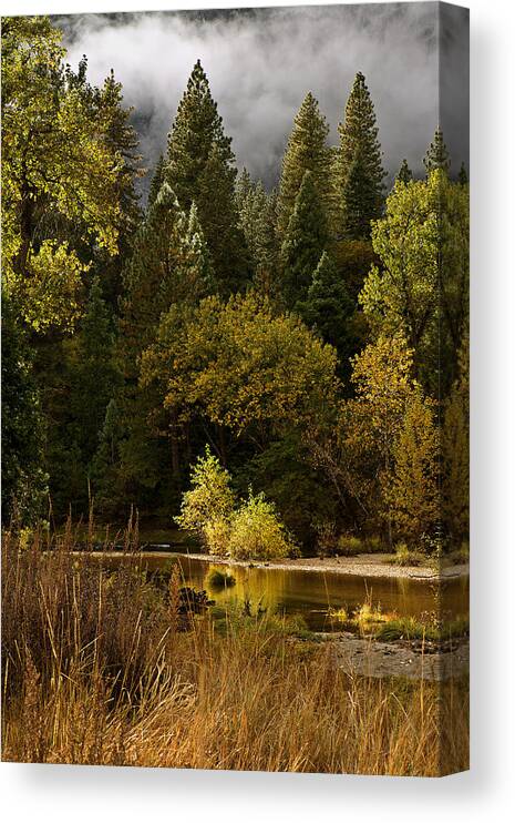 Orias Canvas Print featuring the photograph Peaceful Yosemite C6J8124 by David Orias