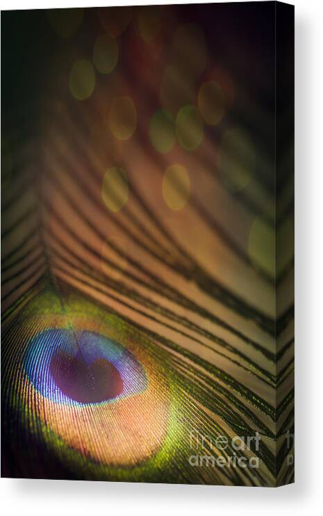Abstract Canvas Print featuring the photograph Peacock Party by Jan Bickerton