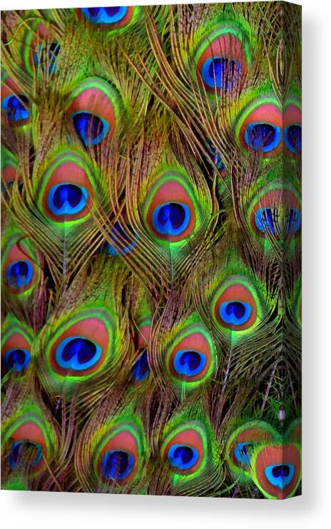 Large Canvas Print featuring the mixed media Peacock Tail Feathers by Angelina Tamez