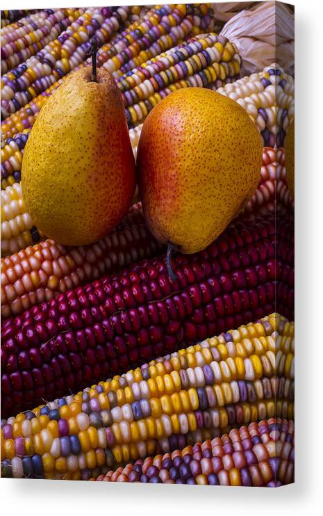Pears Canvas Print featuring the photograph Pears and Indian corn by Garry Gay