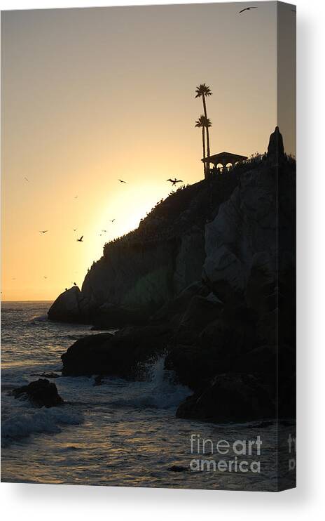 Pismo Beach Canvas Print featuring the photograph Pelicans Gliding At Sunset by Debra Thompson
