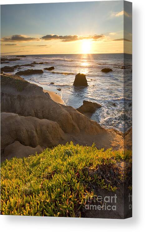 Pescadero Canvas Print featuring the photograph Pescadero State Beach at Sunset by Matt Tilghman
