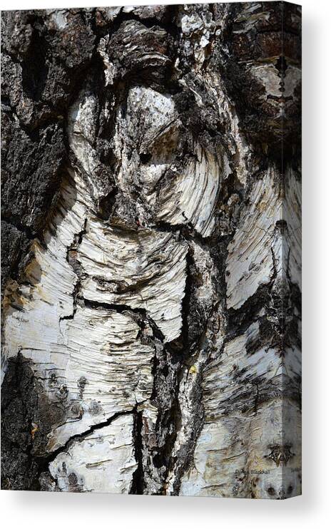 Wood Canvas Print featuring the photograph Petrified Owl by Donna Blackhall