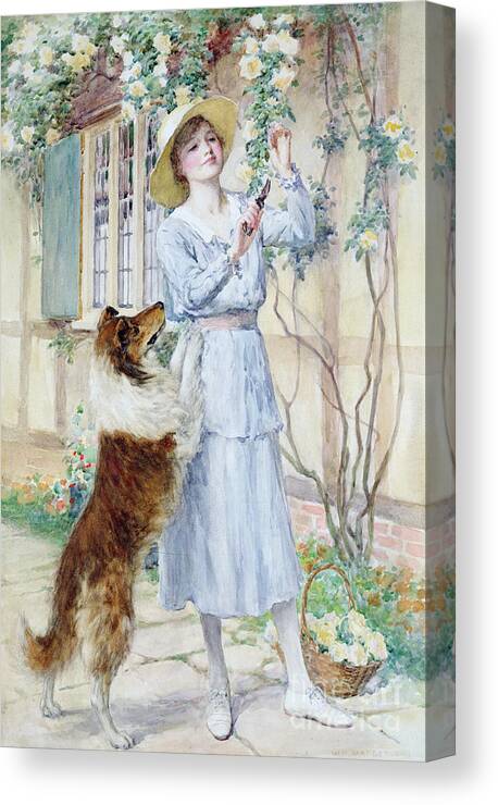 Rose Canvas Print featuring the painting Picking Roses by William Henry Margetson