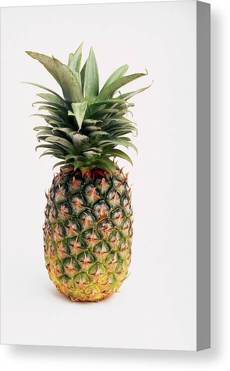 Cutout Canvas Print featuring the photograph Pineapple by Ron Nickel