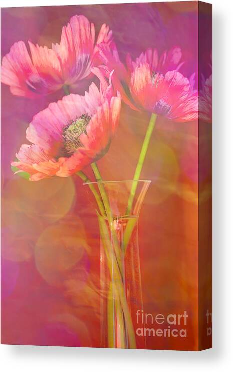 Poppy Canvas Print featuring the photograph Poppy Passion by Jan Bickerton