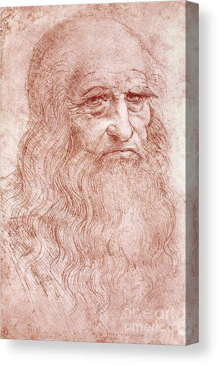 Old Canvas Print featuring the painting Portrait of a Bearded Man by Leonardo da Vinci