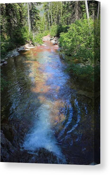Light Canvas Print featuring the photograph Pouring into Morning Light by Kathleen Scanlan