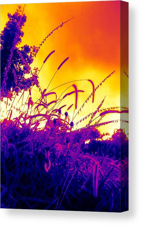  Canvas Print featuring the photograph Praire Fire by Sherry Lasken