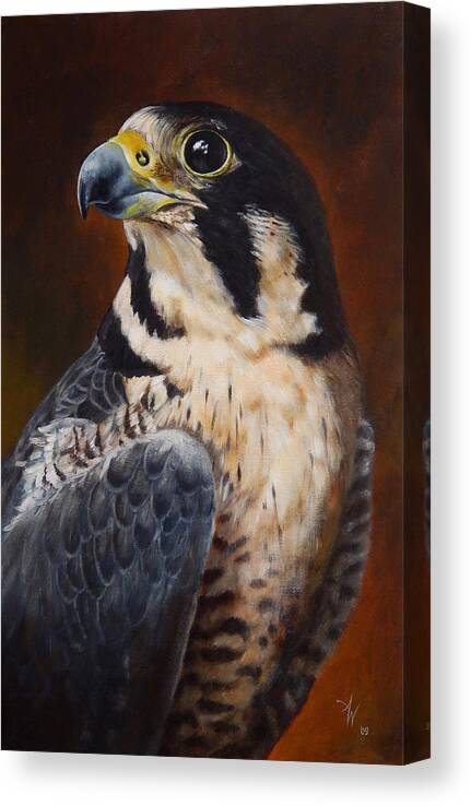 Peregrine Falcon Canvas Print featuring the painting Proud - Peregrine Falcon by Arie Van der Wijst