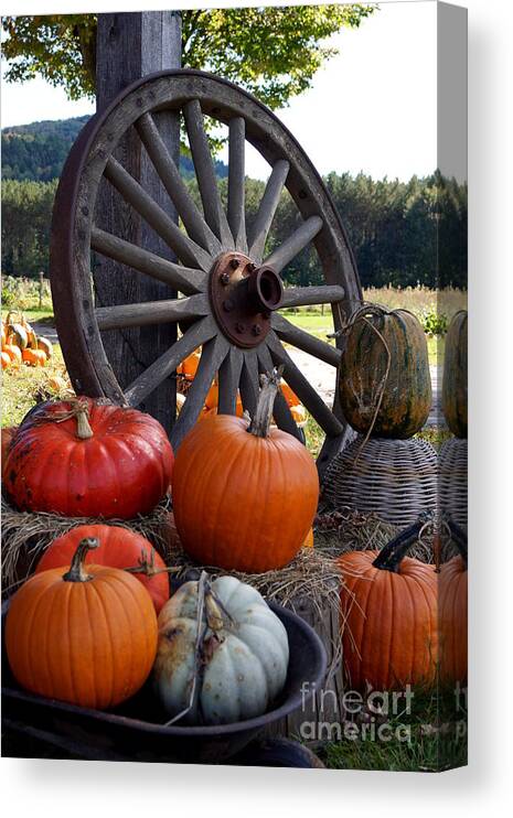 Fall Pumpkins Canvas Print featuring the photograph Pumpkin Wheel by Kerri Mortenson