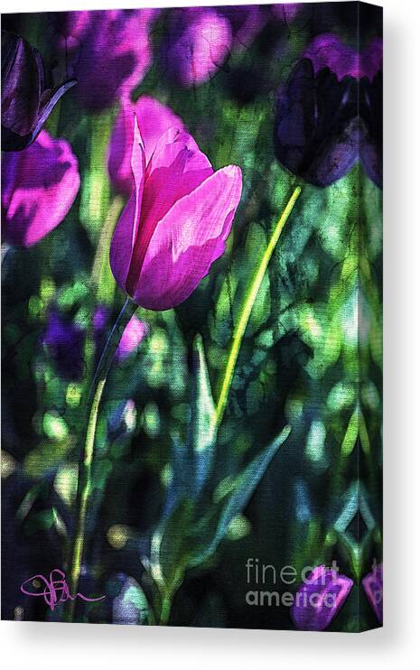 Tulips Canvas Print featuring the painting Purple and PInk Tulip Companions by Jani Bryson