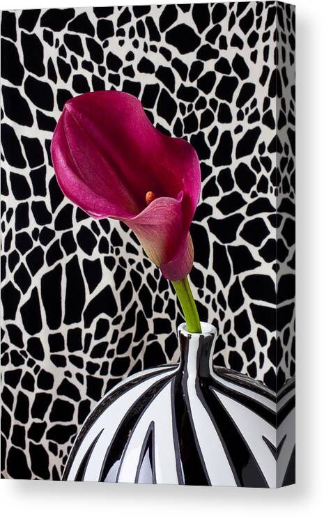 Purple Calla Lily Canvas Print featuring the photograph Purple calla lily by Garry Gay
