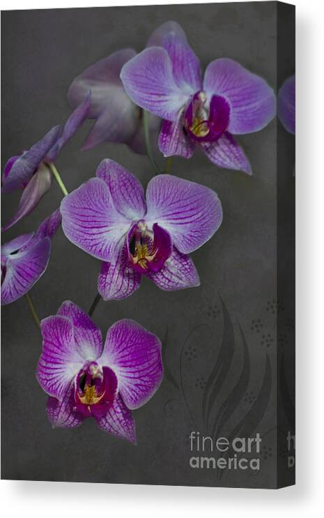 Orchid Canvas Print featuring the photograph Purple Orchid Flower by Heiko Koehrer-Wagner
