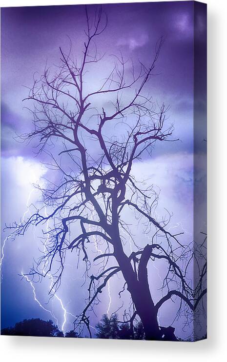 Lightning Canvas Print featuring the photograph Purple Rain by James BO Insogna